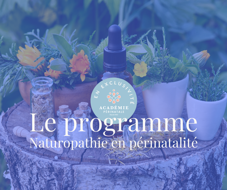 Programme Naturopathie spécialisée en périnatalité